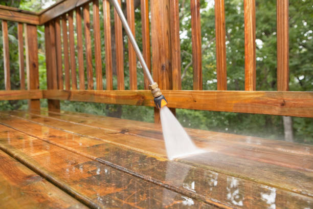 Best Driveway Pressure Washing  in Homestead Meadows South, TX