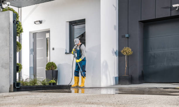 Best Patio and Deck Pressure Washing  in Homestead Meadows South, TX